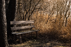 탈모 예방 방법