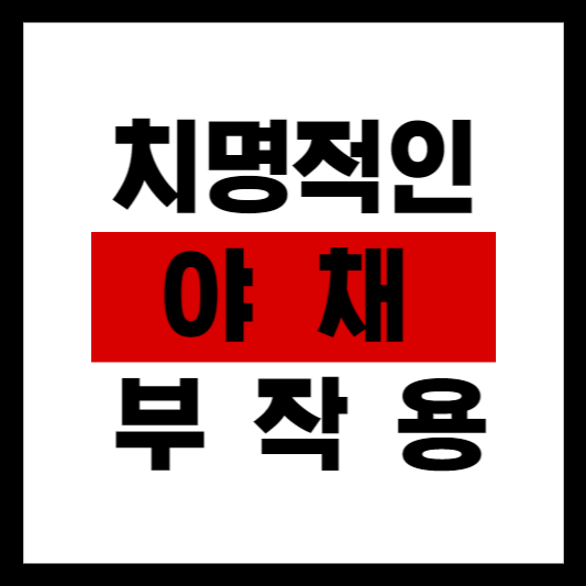 심각한 부작용을 일으킬 수 있는 야채