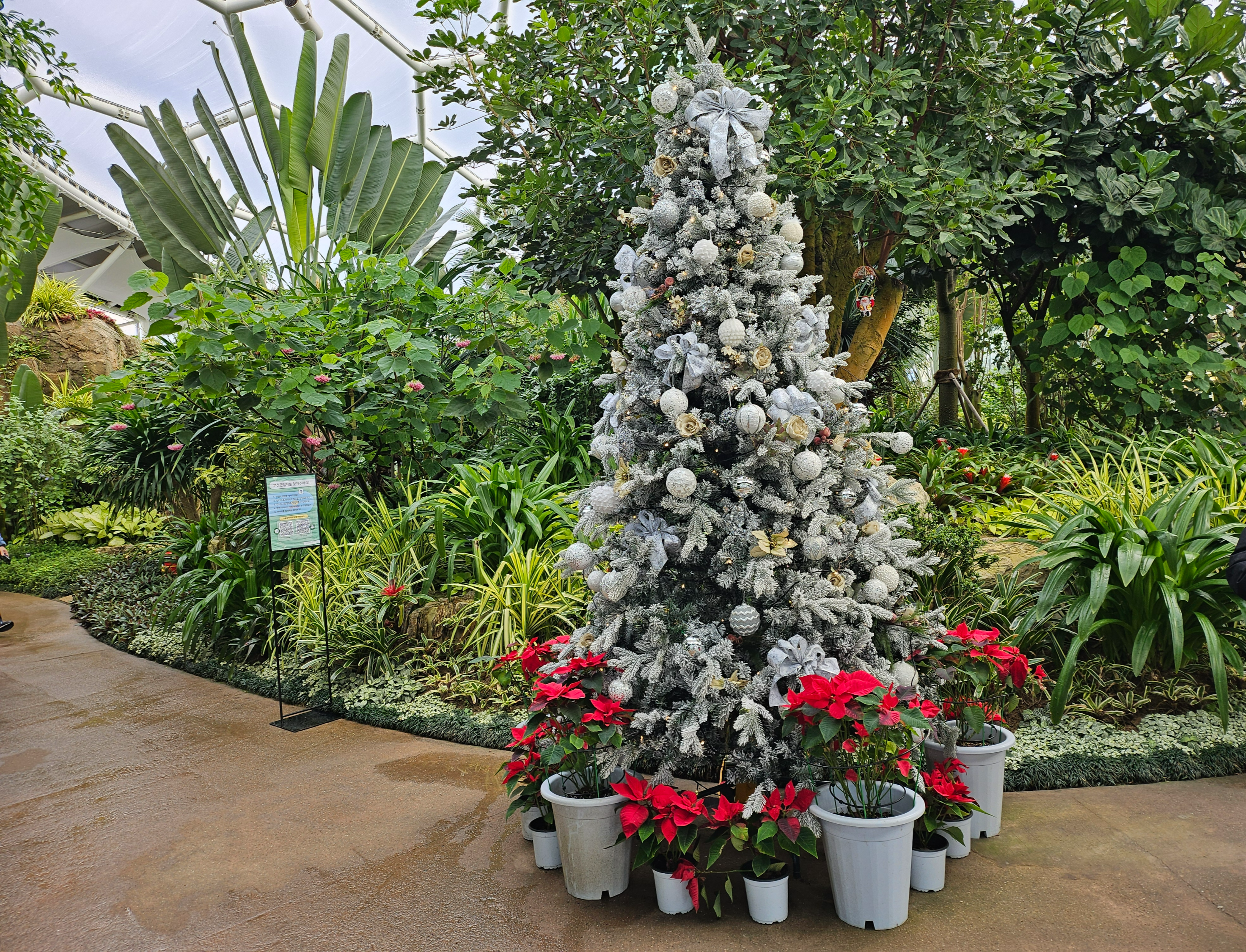 겨울 실내 아이와 가볼만한곳 부천호수공원 식물원 수피아