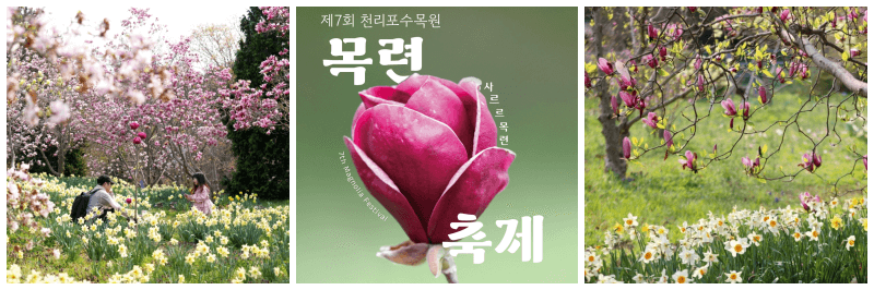 천리포수목원 목련축제 포토, 포스터