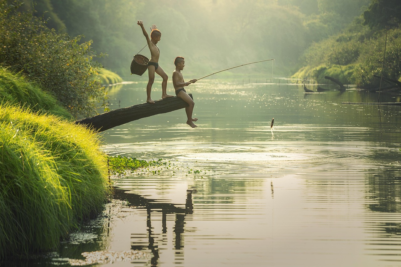 여름 이미지