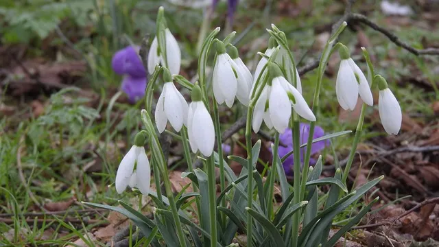 위도 배시간표 예약방법 배 요금_6