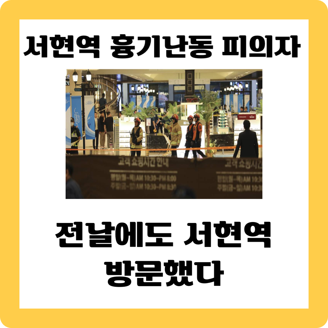 서현역 흉기난동 피의자