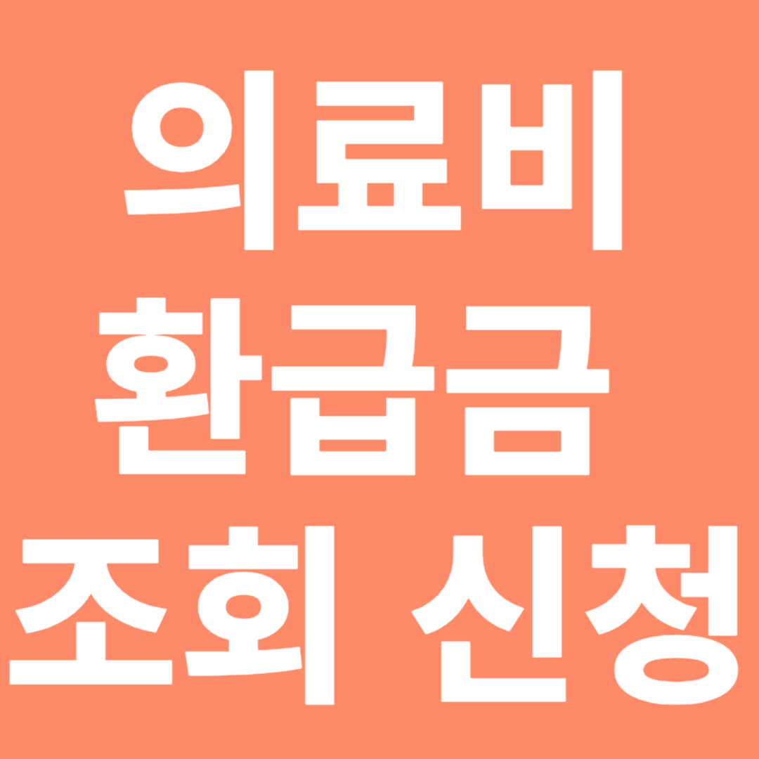 의료비 환급금 조회 (본인부담금 초과금 신청)