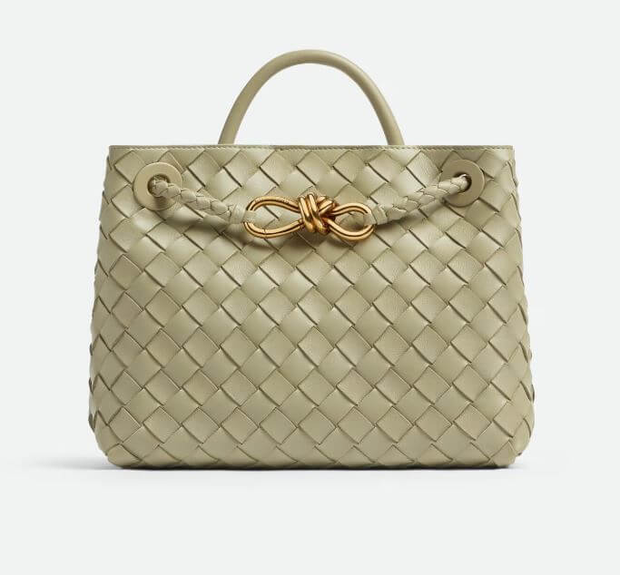 보테가 베네타 안디아모 스몰