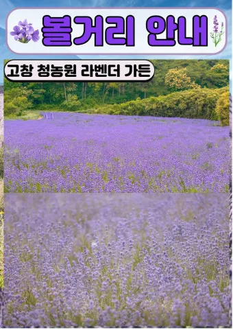 고창 가볼만한곳 베스트10 전북 여행지 추천_7