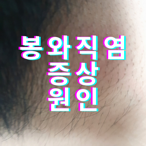봉와직염 증상 원인