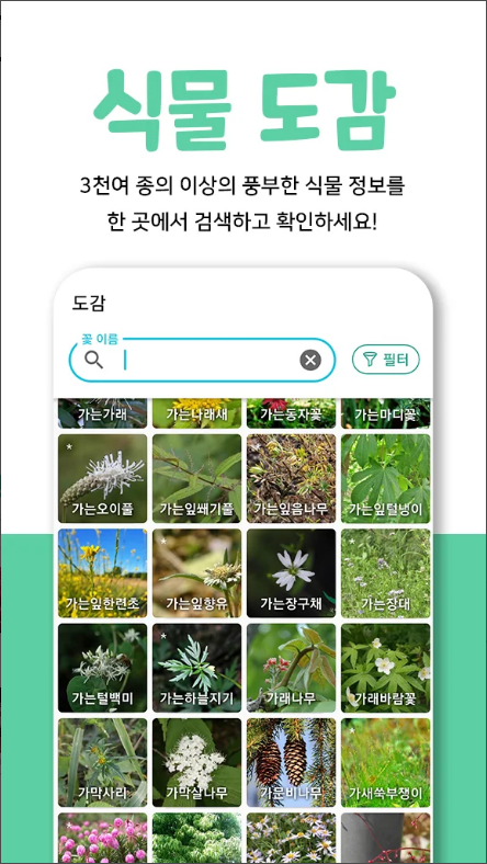 왓캠, 한국 꽃 이름 찾기