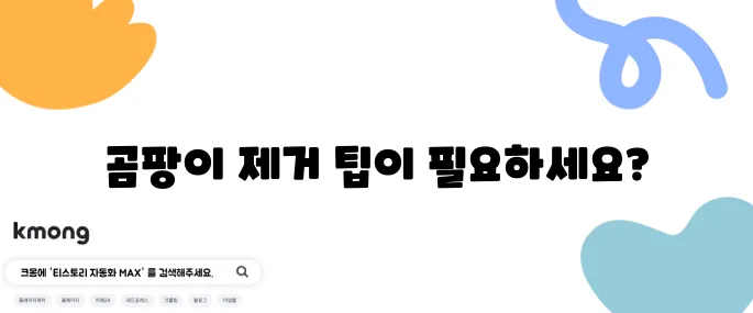 화장실 곰팡이 제거하는 비법