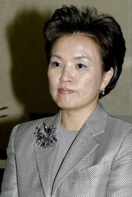 강금실 정치 경력