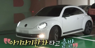 허니제이 차