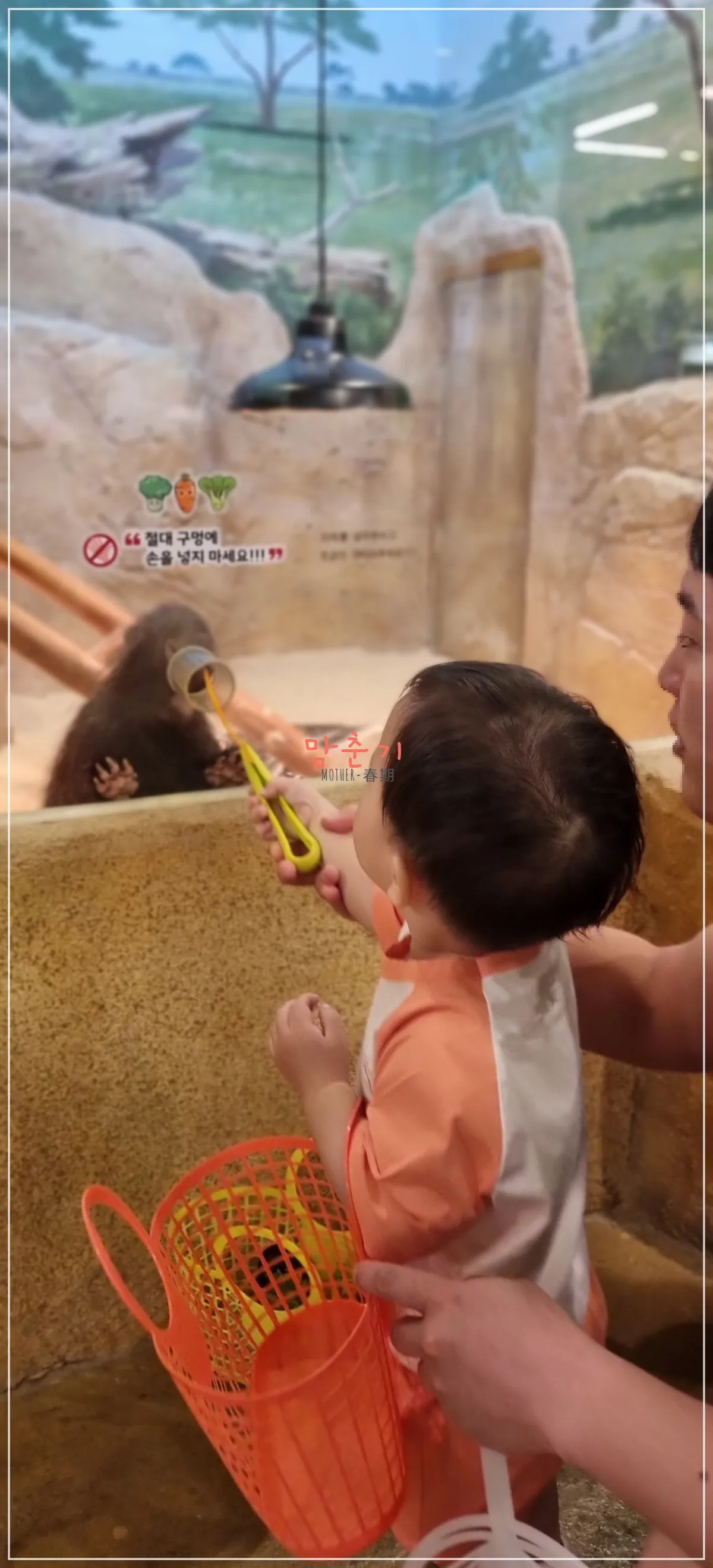 라라쥬동물원-카피바라