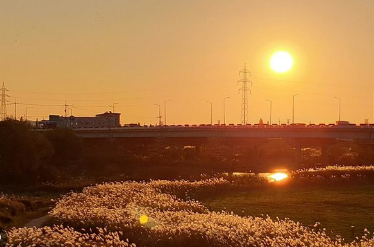 노을과 억새가 어우러진 가을 풍경, 평택 원평나루로 떠나자