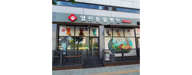 원주시 동물병원