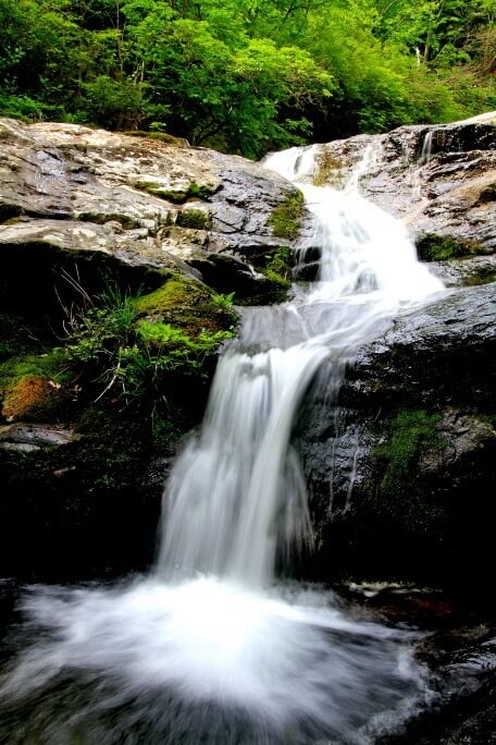 회문산 자연휴양림 예약