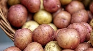 감자 꿈해몽 13가지&nbsp;