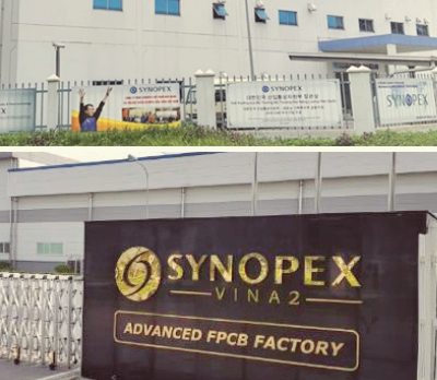 시노펙스 주가 전망 배당금 목표주가 분석