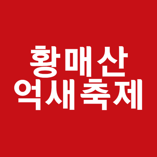 황매산 억새축제기간