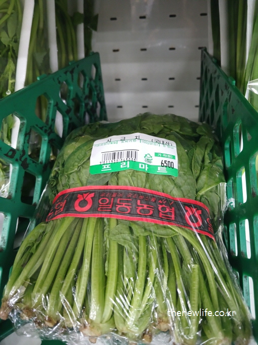 엽산(B9)이 풍부한 시금치 사진