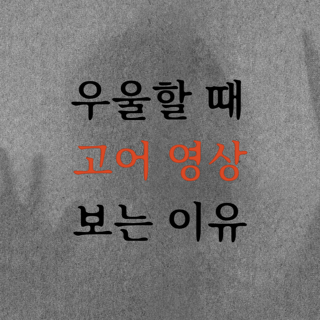 우울할 떄 고어 영상 보는 이유 심리학 뇌과학 분석 포스팅 섬네일