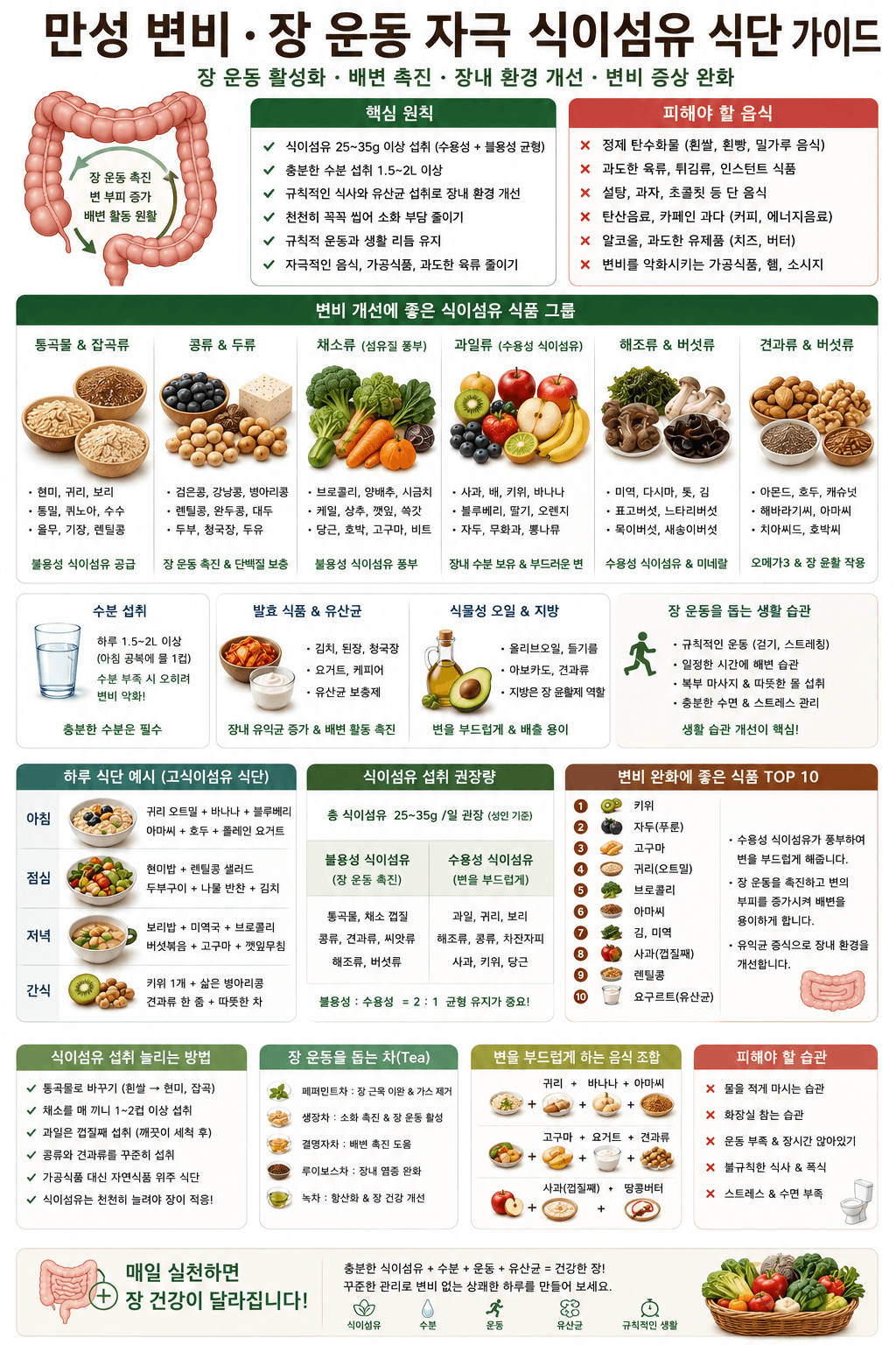 만성 변비 장 운동 자극 식이섬유 식단