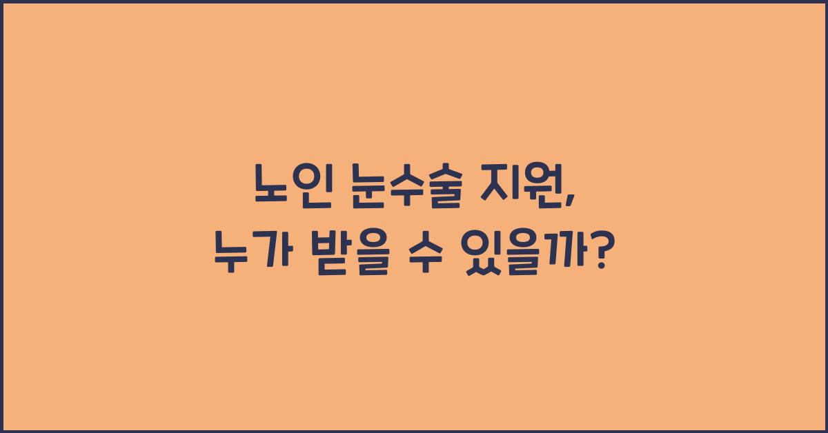 노인 눈수술 지원