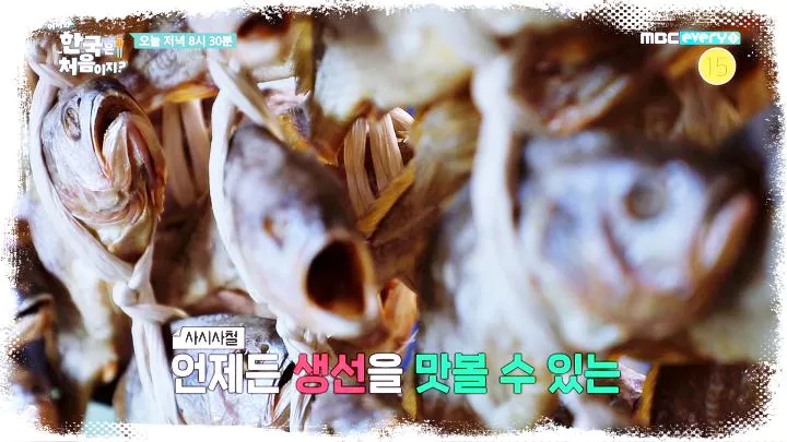 어서와-한국은-처음이지-제-225회-생선구이-서울-종로-생선구이골목-맛집-소개-08
