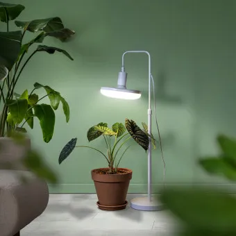 타이머 세팅 자동점등 소등루틴 식물등사용 습관 만들기 편리한 관리_5