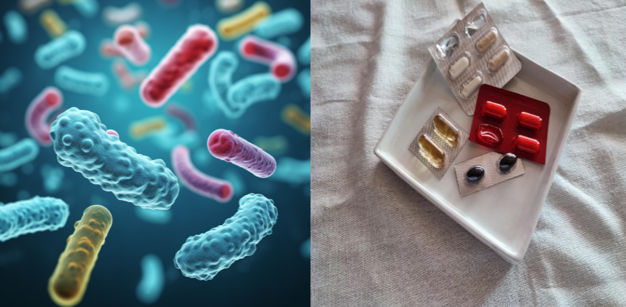 프로바이오틱스