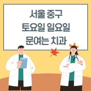 서울 중구 토요일 일요일 치과 진료 병원