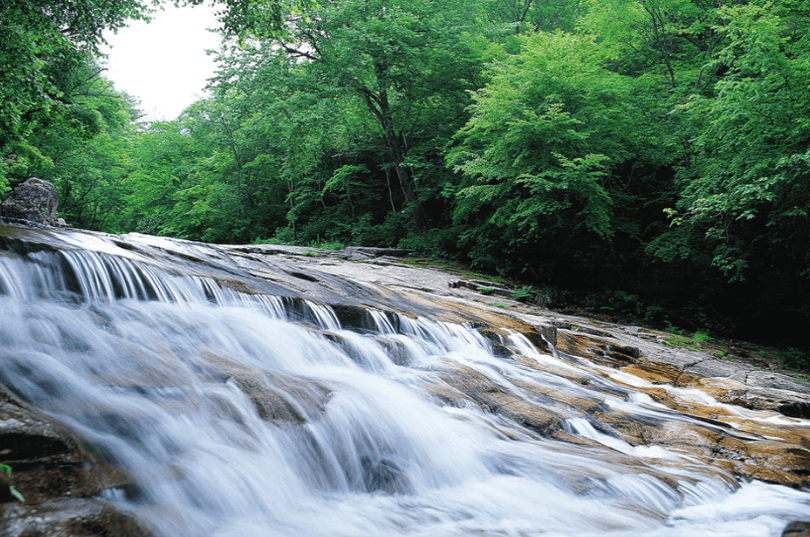 군위군 동산계곡