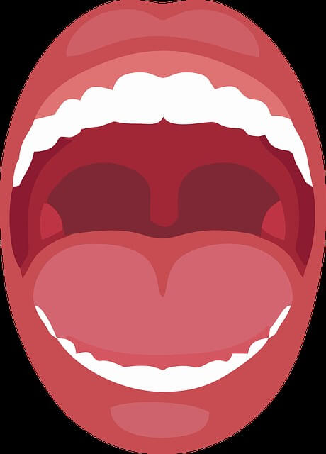 편도결석 제거법