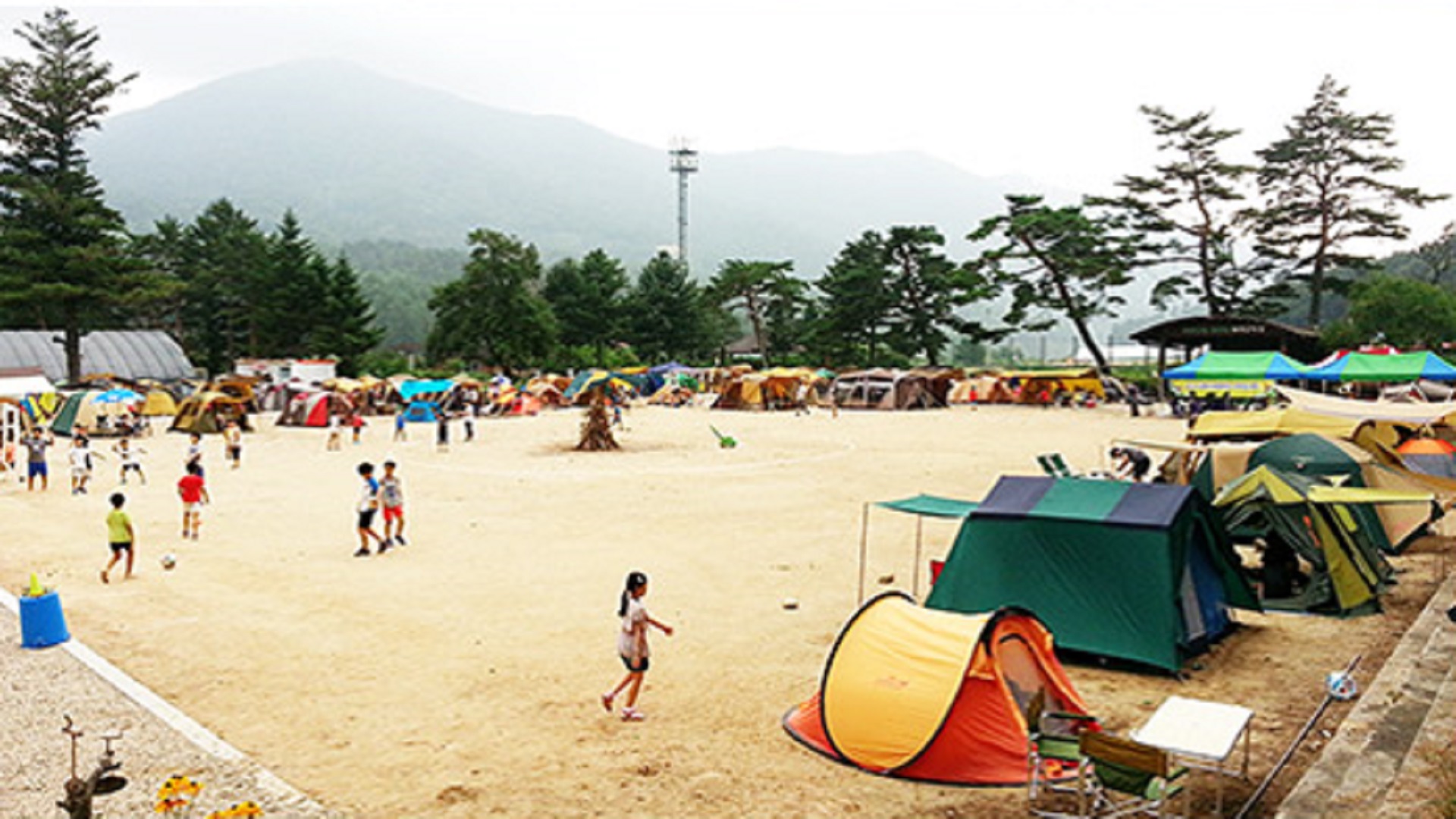 강릉 대기리 산촌 체험 학교 야영장 바로가기