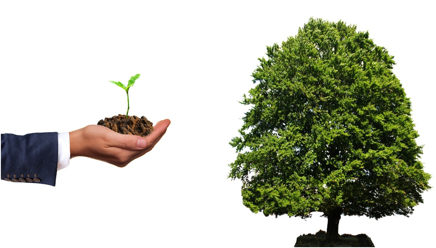 ‘시간이 돈’— 1시간 단위로 재테크 습관 만드는 법