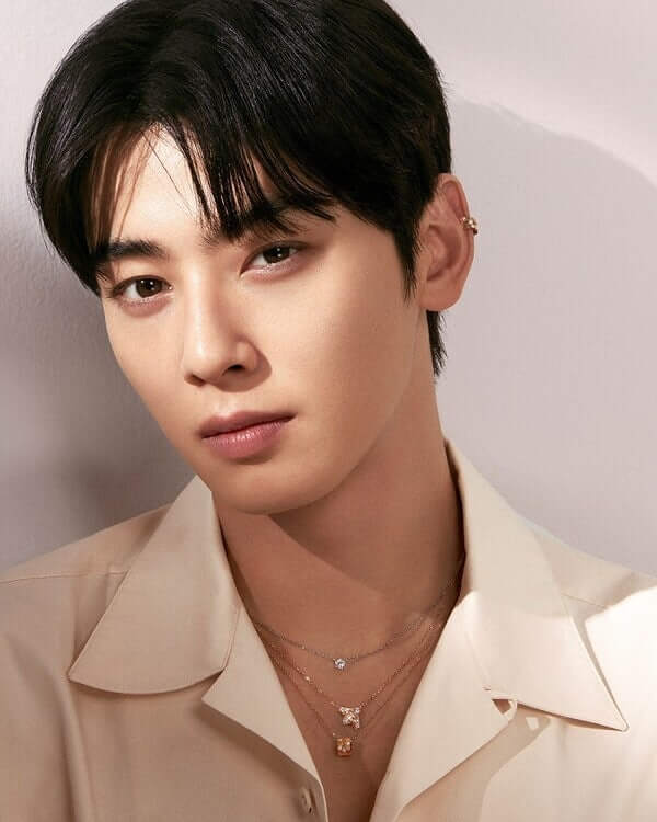 차은우 프로필&amp;#44; 동생&amp;#44; 군대