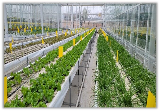 스마트팜혁신밸리 신청자격 우대사항 가산점(스마트팜코리아)