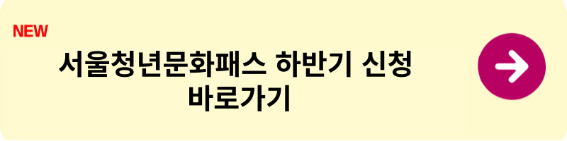 서울청년문화패스