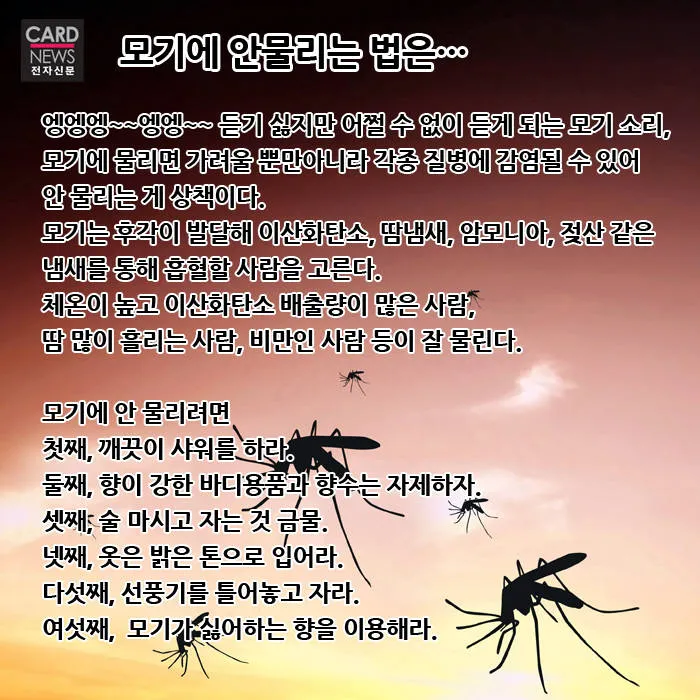 모기 박사님 추천 모기 퇴치법과 여름철 모기 없는 집 만들기 실전 전략_4