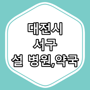 대전시 서구 설 연휴 문 여는 병원,약국 [2025년]