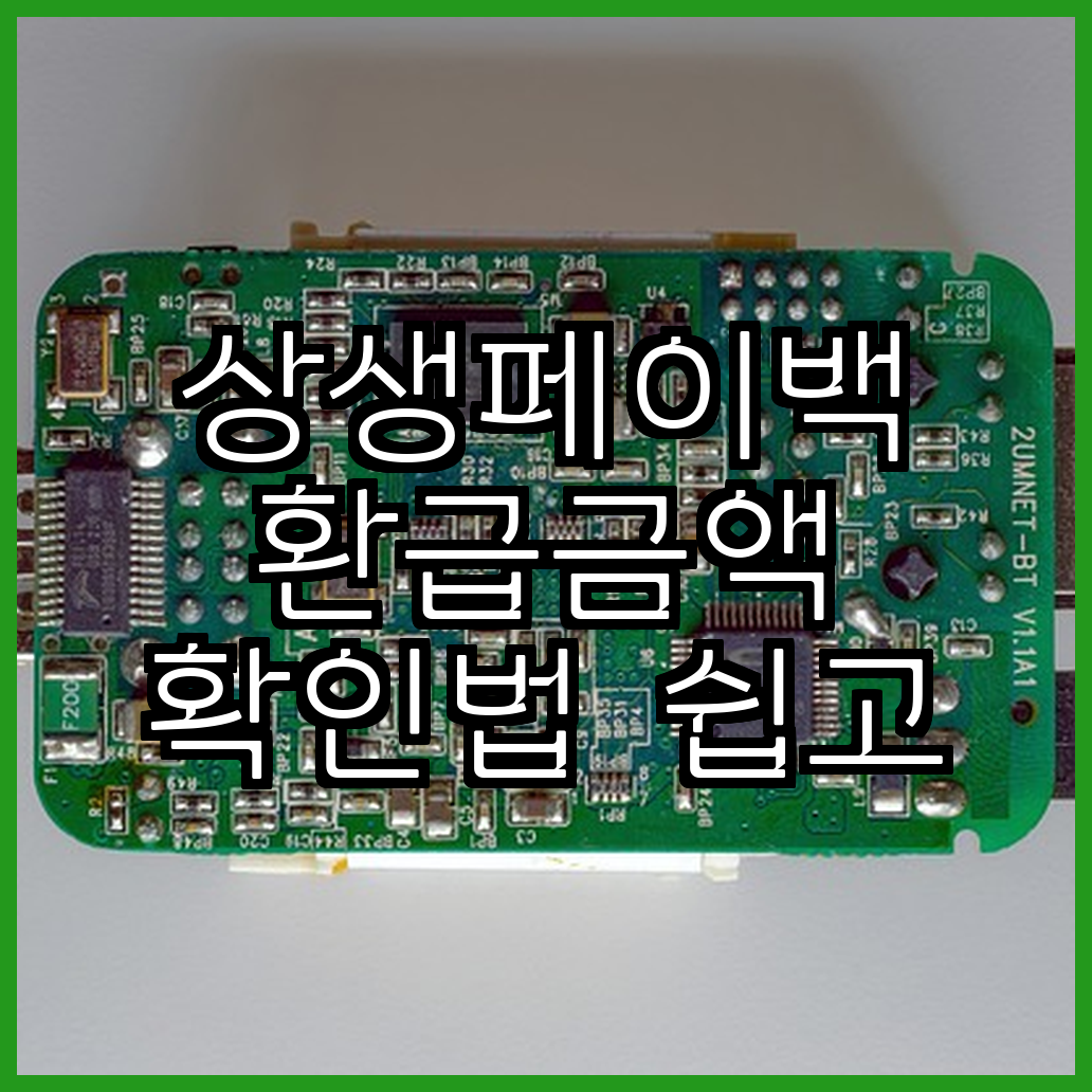 상생페이백 환급금액 확인법 쉽고 빠르게 조회하는