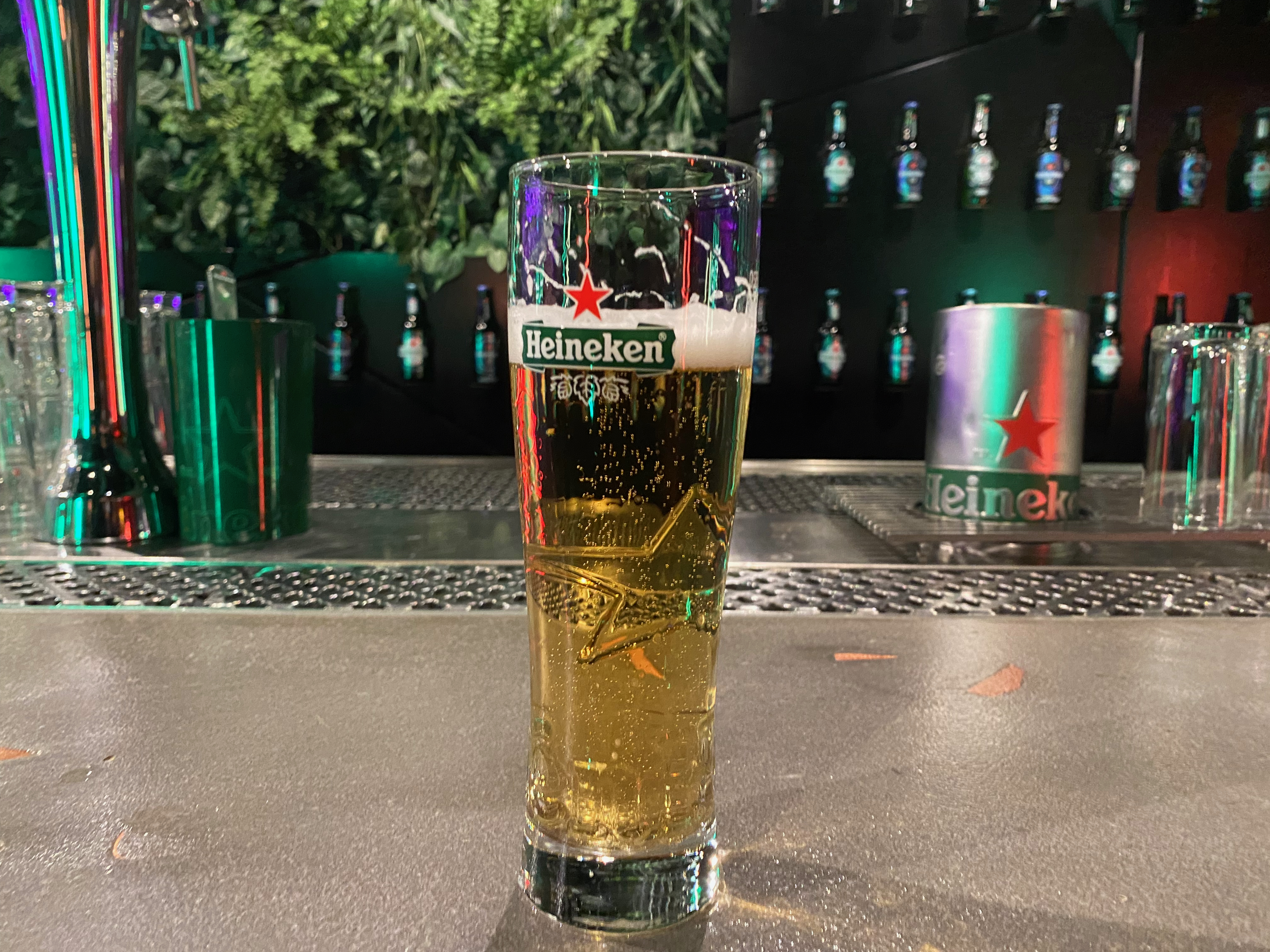 암스테르담 하이네켄 생맥주