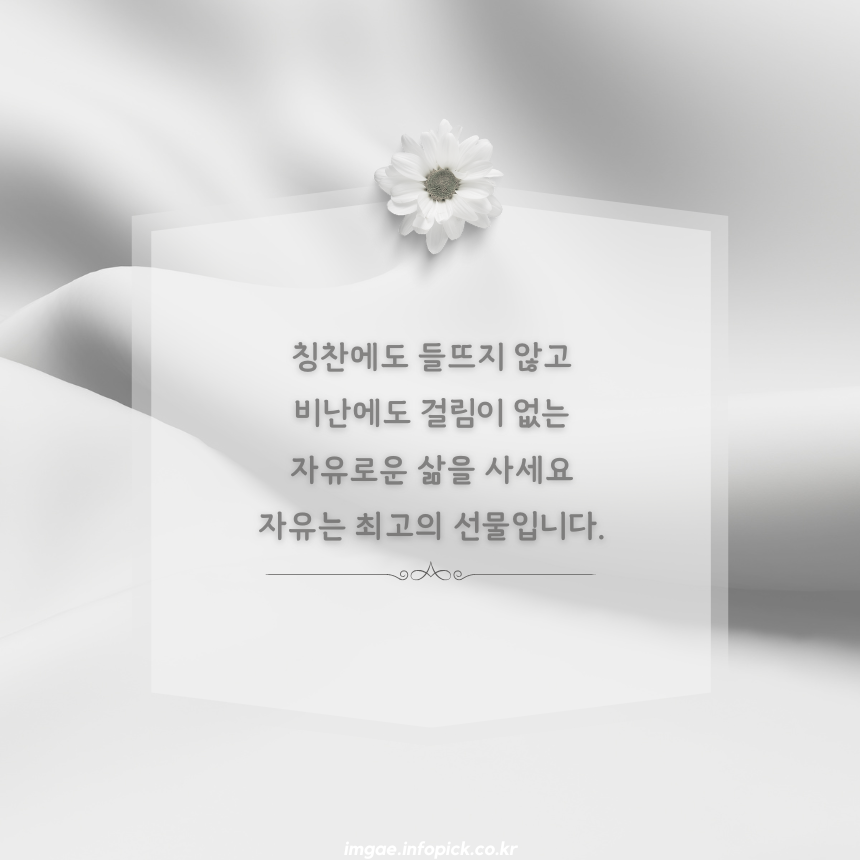 짧고 좋은 글귀 인생 명언 모음집 문구 이미지