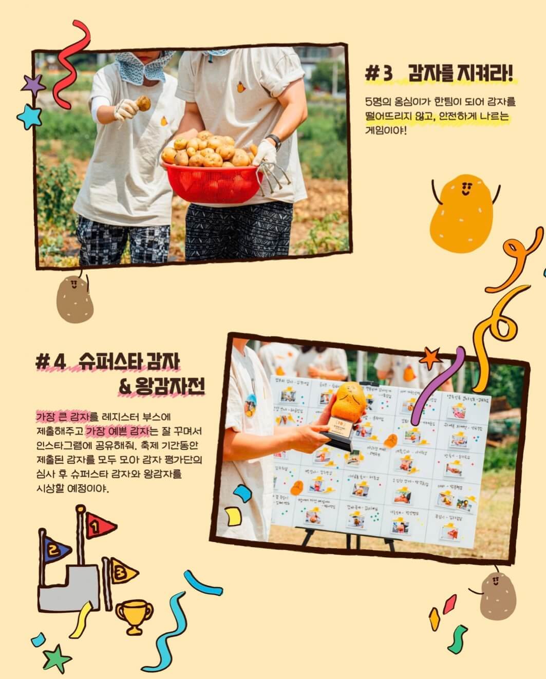 춘천 감자 축제