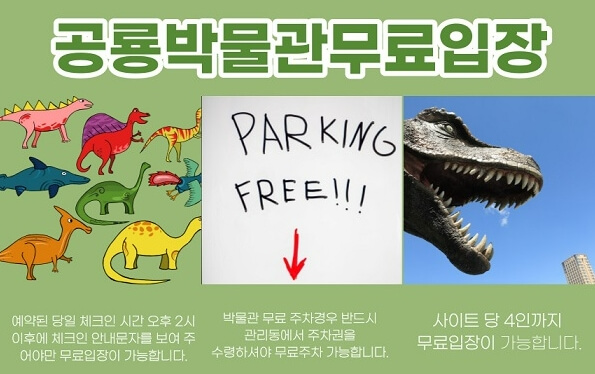 고성상족암오토캠핑장