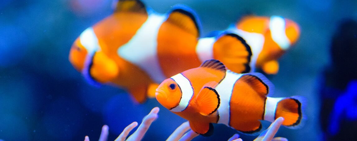 강릉 여행 추천 코스