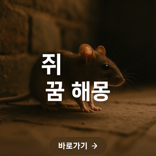 쥐 꿈 해몽