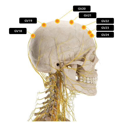 머리 주변 혈자리 요약
