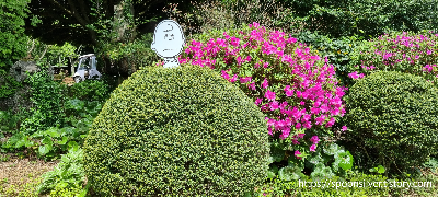 제주스누피가든