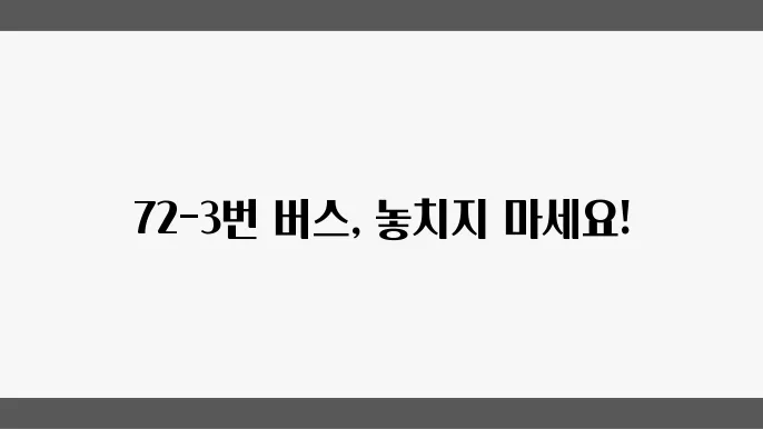 72-3번 버스 시간표 및 노선 운영정보 알아보기