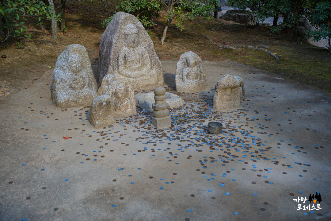 금각사 동전 던지기